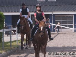 dsc9596-811